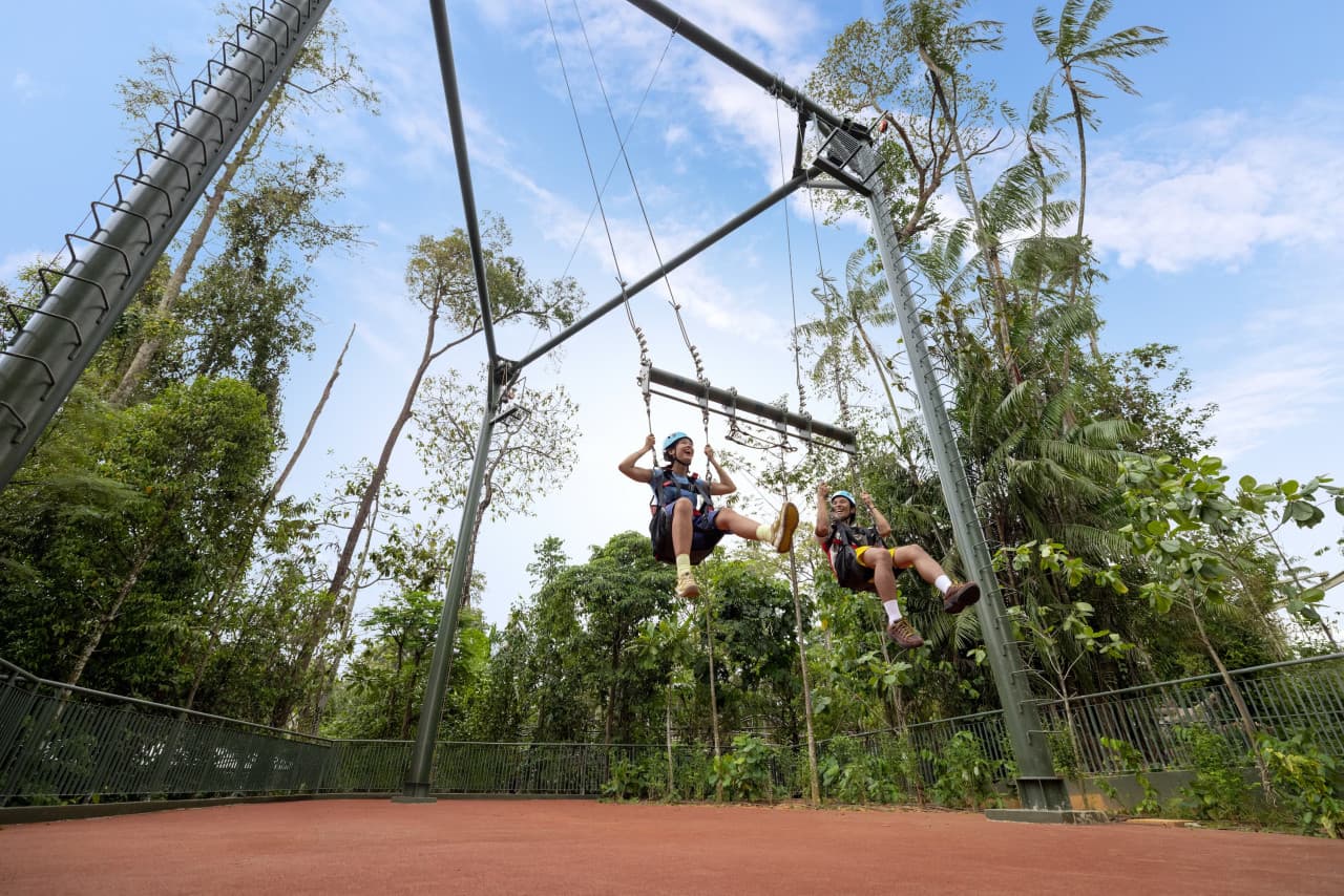 Rainforest Wild Adventure Ticket