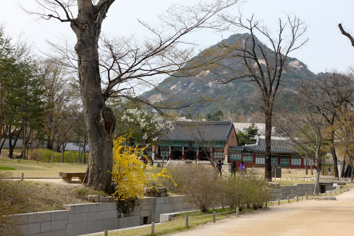 Gyeongbokgung Palace and Seoul City Tour