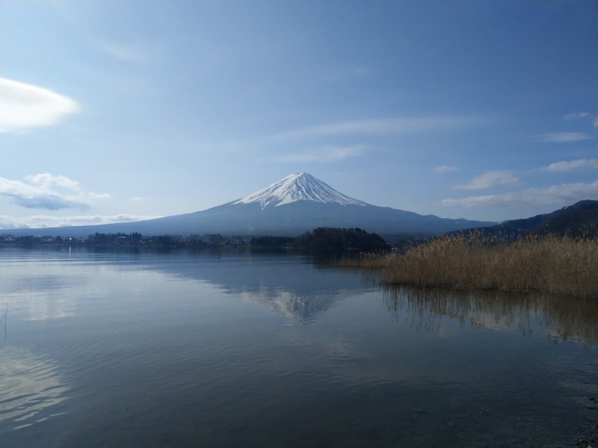 Mount Fuji Day Tour with Kawaguchiko Lake