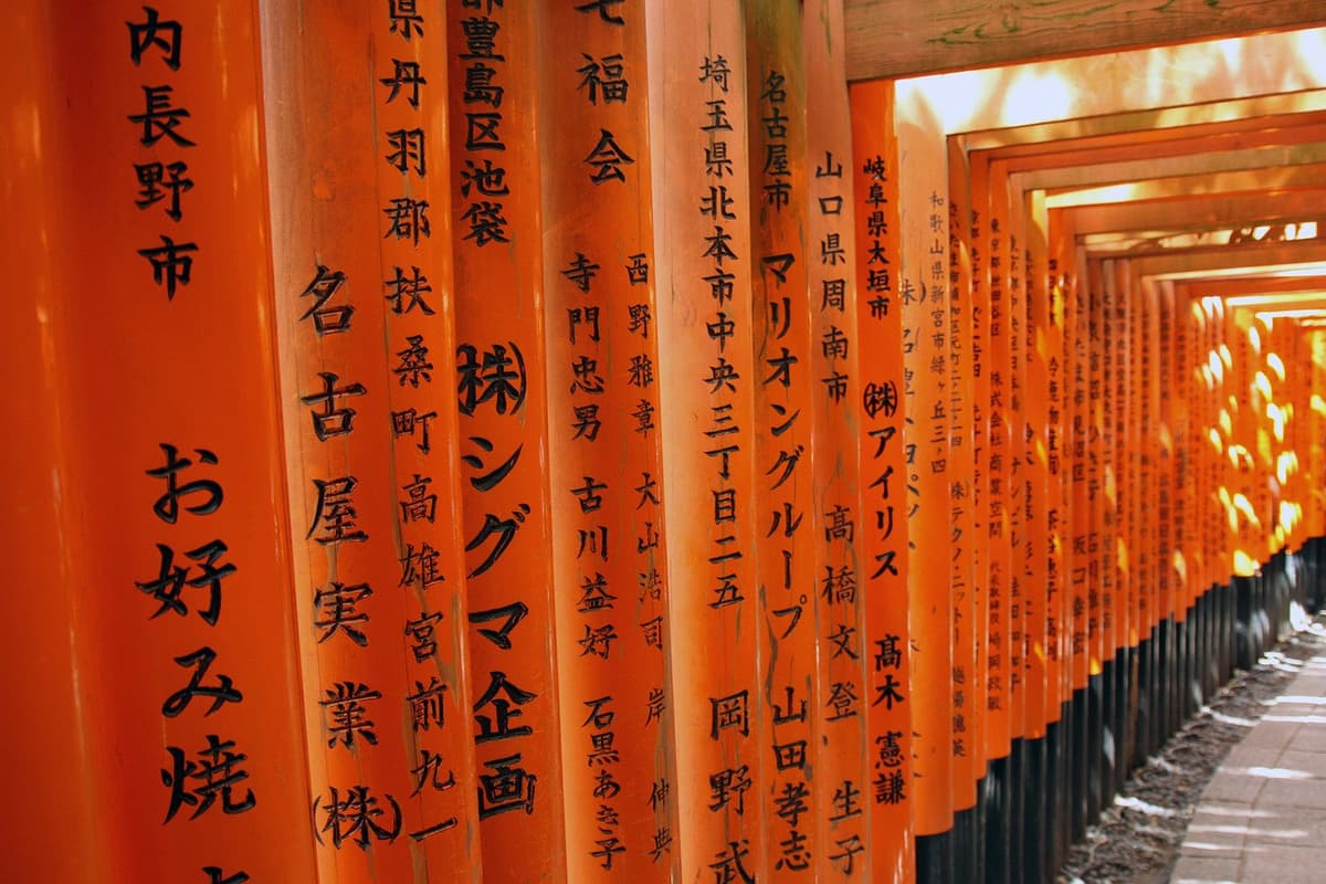 Kyoto and Nara Bus Tour