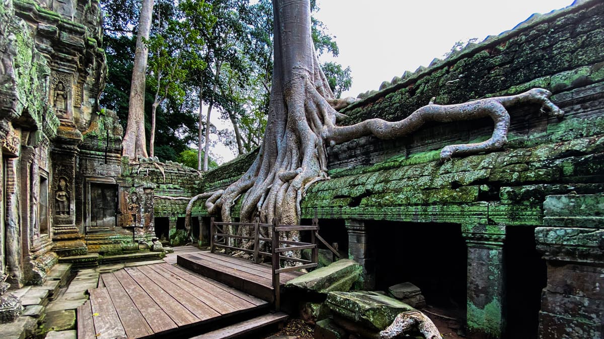 Angkor Temples Sunrise Tour by Tuk-Tuk