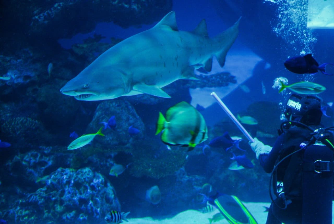 Aquaria Phuket – photo 22