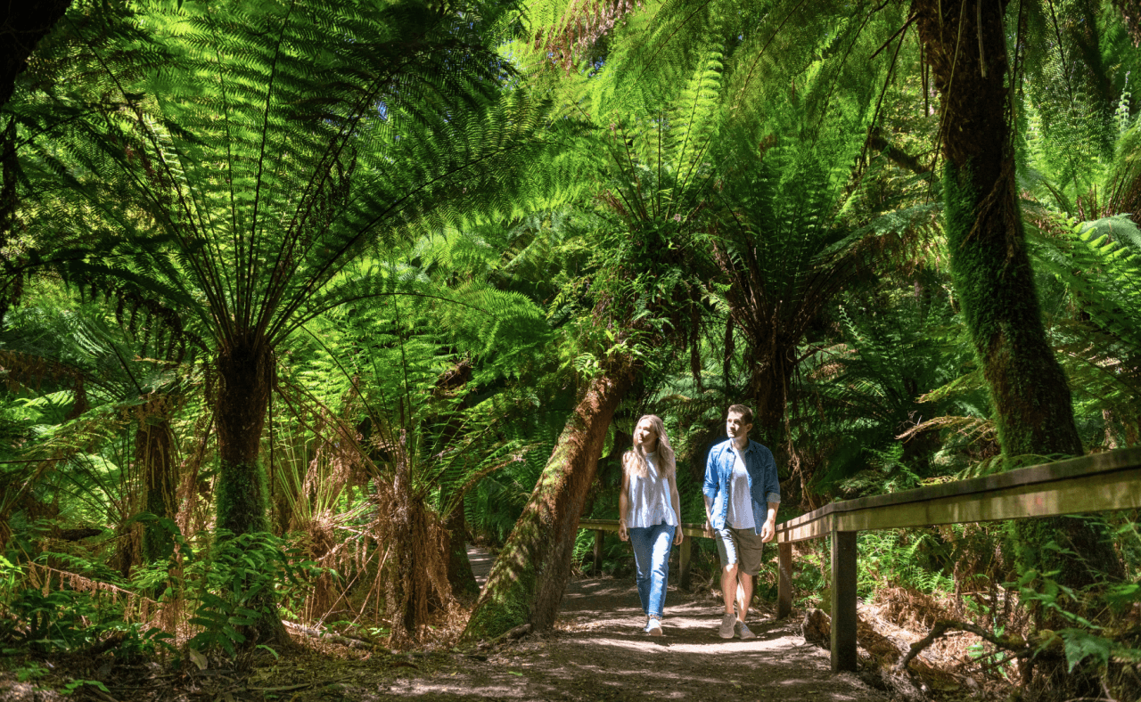 Great Ocean Road Tour from Melbourne – photo 7