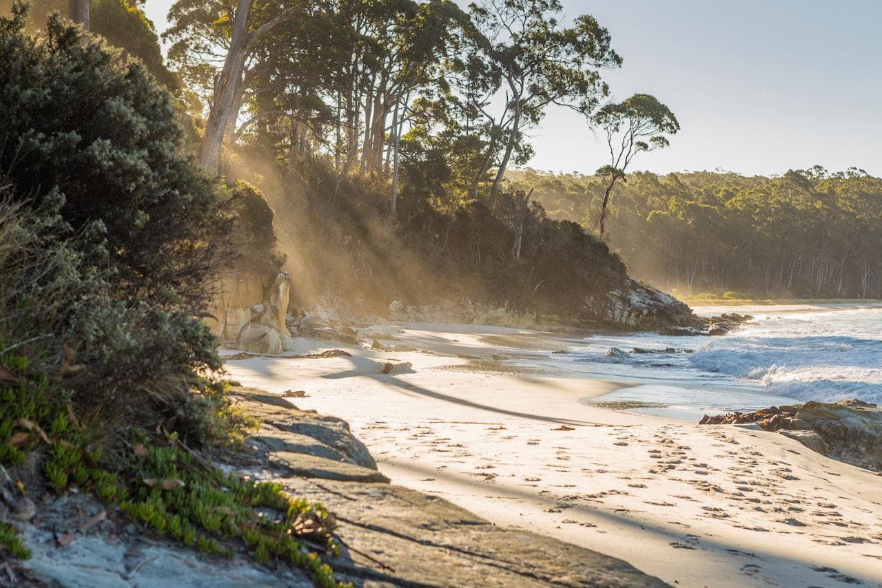 Bruny Island Full-Day Tour from Hobart – photo 2