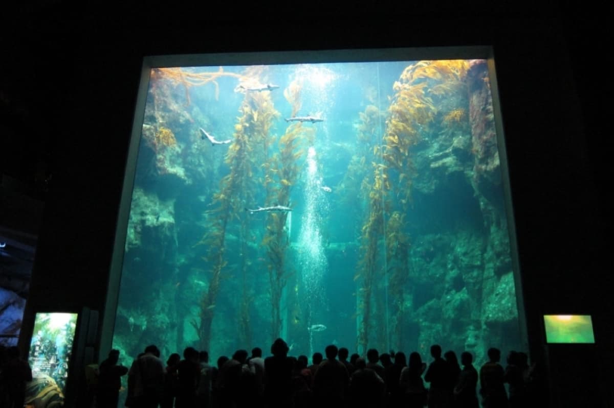Pingtung National Museum of Marine Biology and Aquarium Ticket