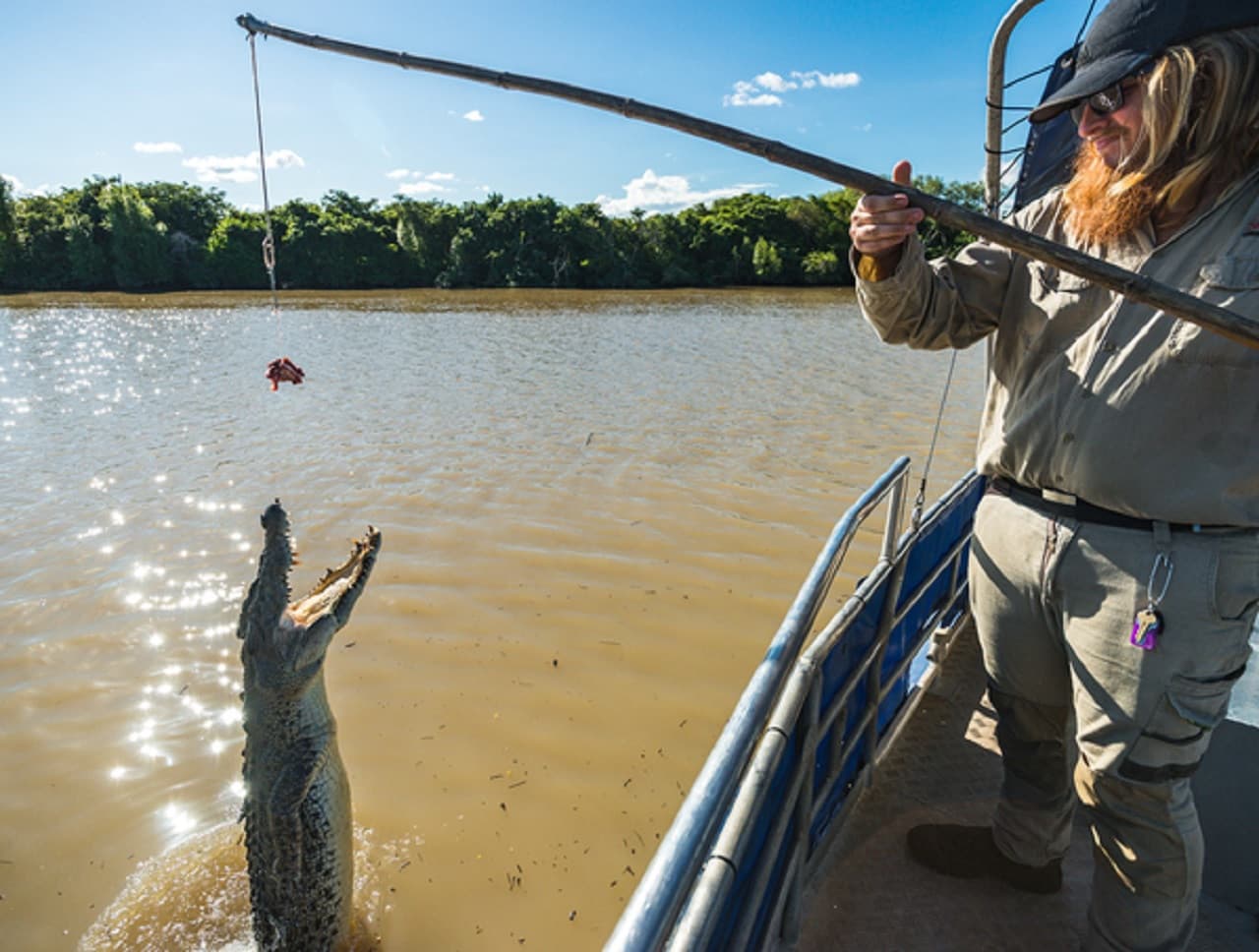 Spectacular Jumping Crocodile Cruise – photo 3