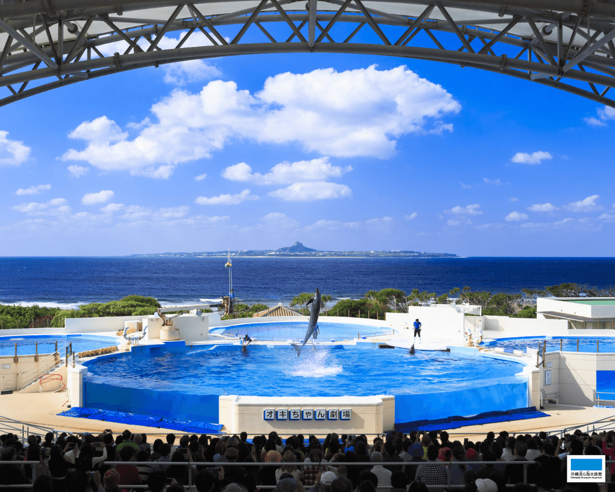 Okinawa Churaumi Aquarium