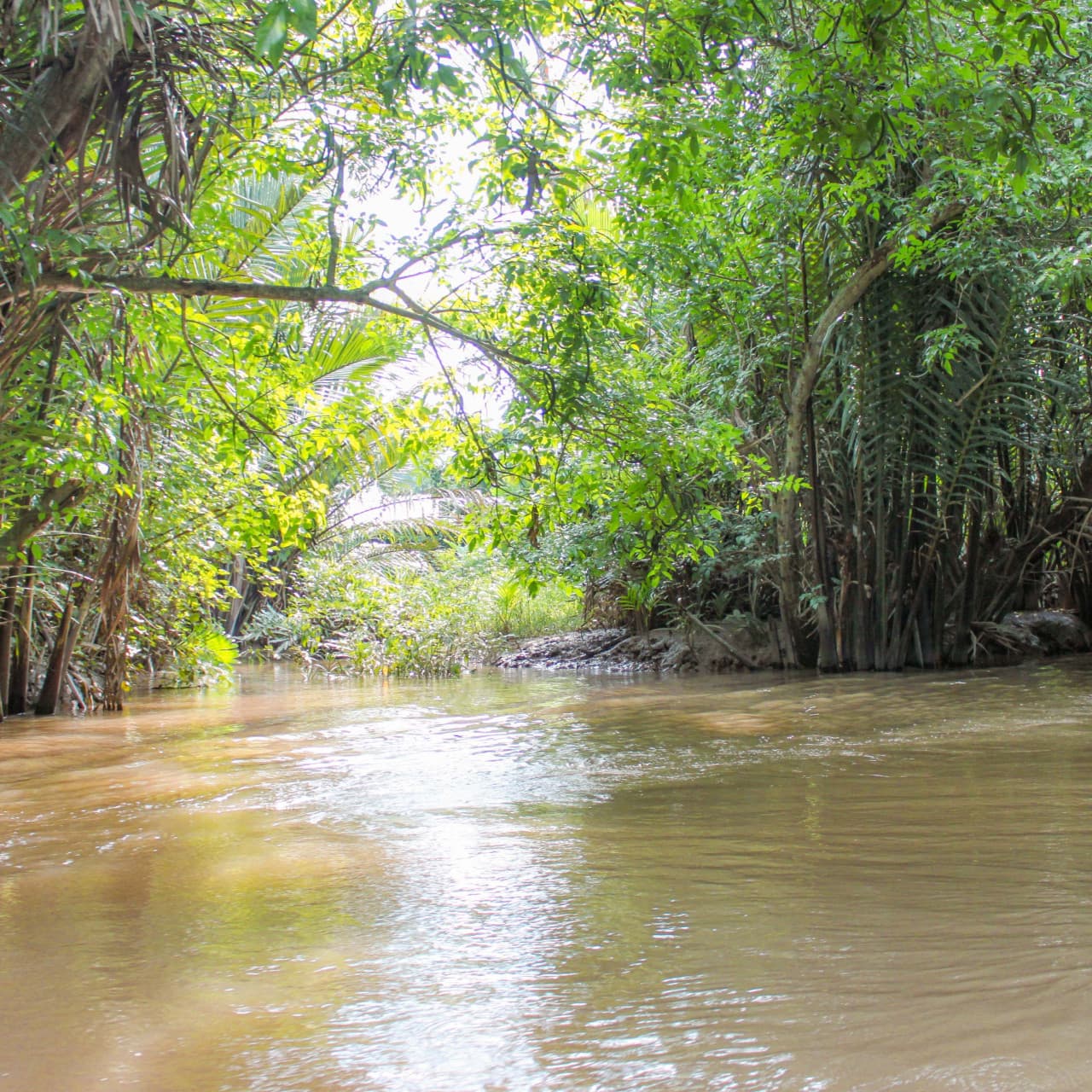 Cu Chi Tunnels and Mekong Delta Full-Day Tour from Ho Chi Minh – photo 15
