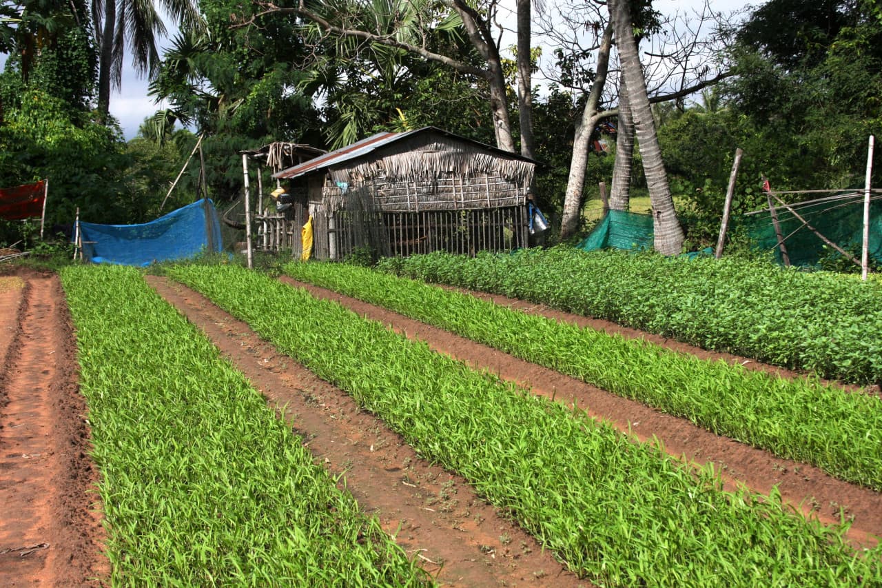 Treak Village Tour with Khmer Cooking Class