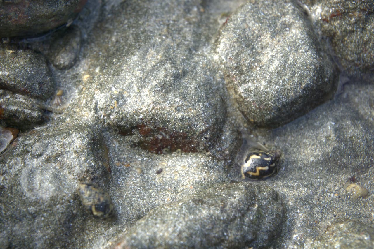 Desaru Beach and Tide Pool Walk – photo 25