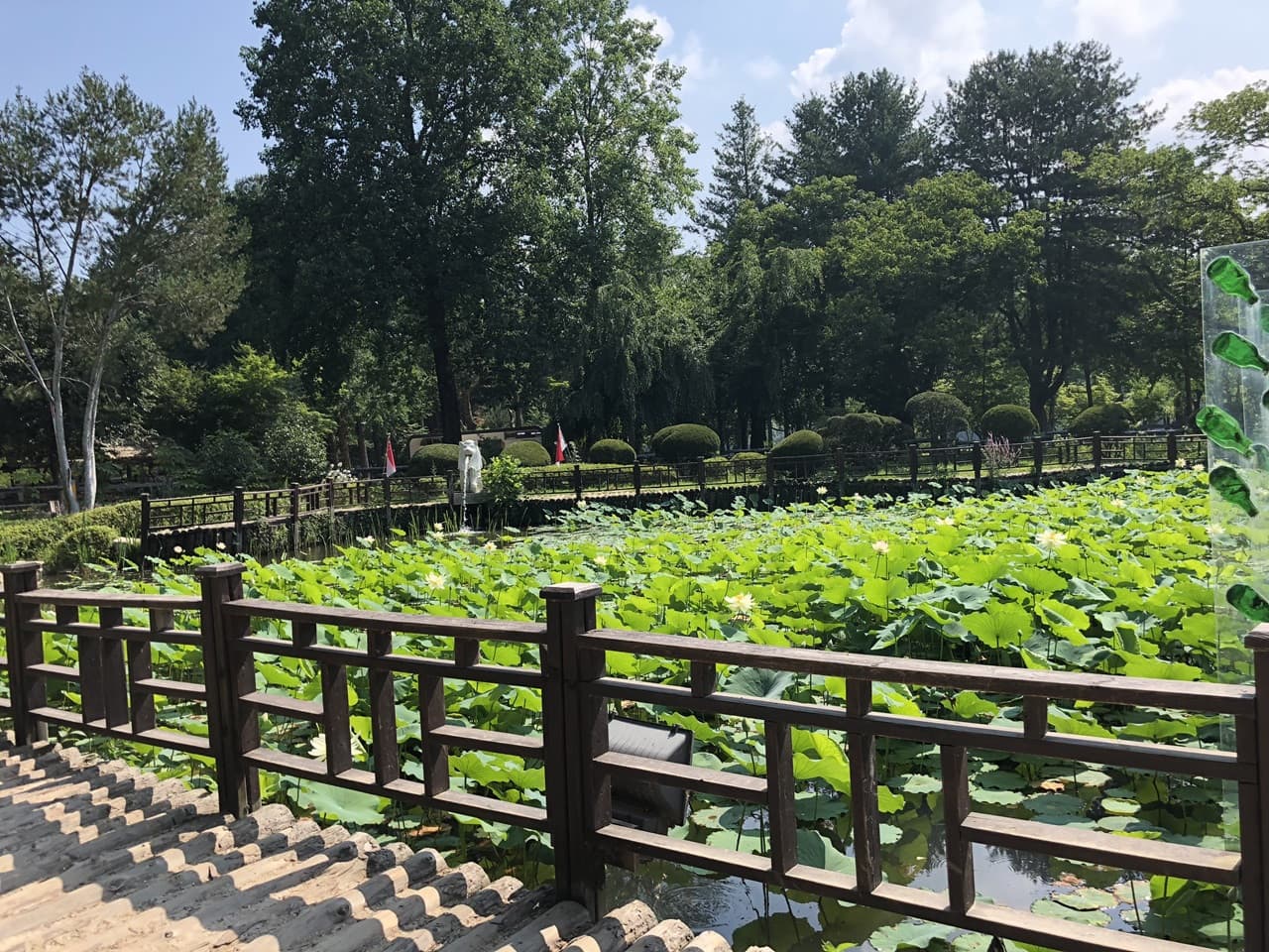 Nami Island, Mount Seorak, and Garden of Morning Calm Full-Day Tour from Seoul – photo 36