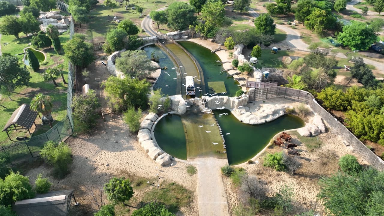 Dubai Safari Park Ticket – photo 30
