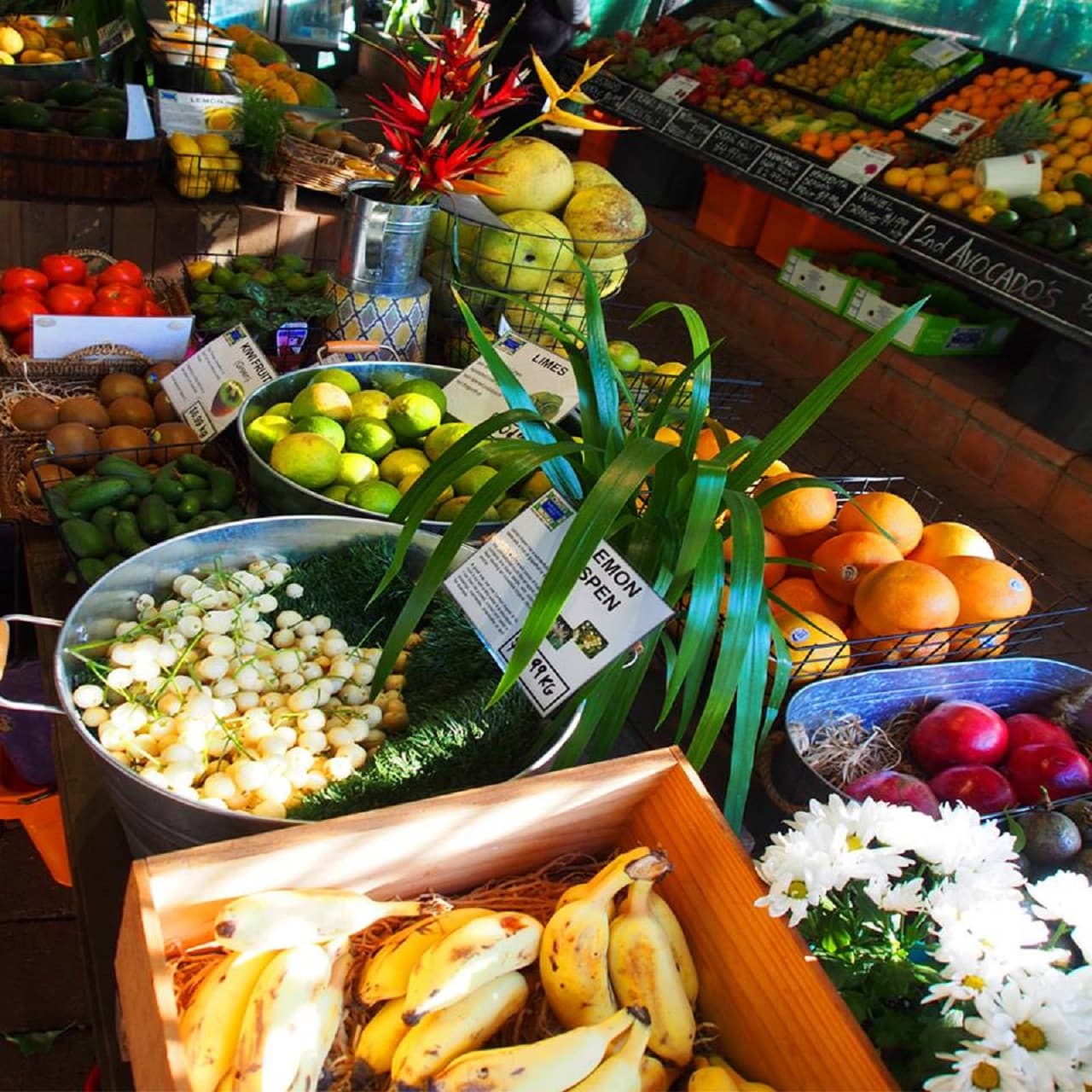 Byron Bay and Tropical Fruit World Tour – photo 11