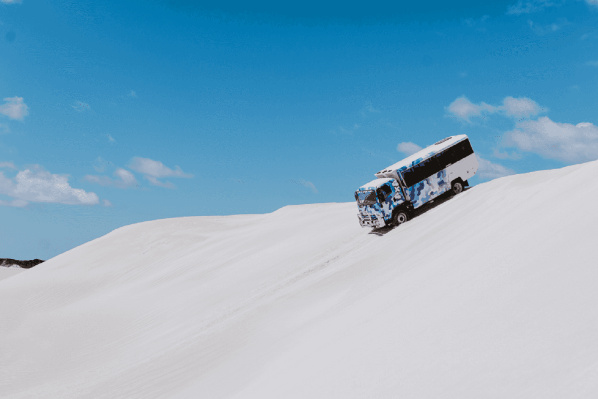 Pinnacles Desert Tour with 4WD Adventure from Perth