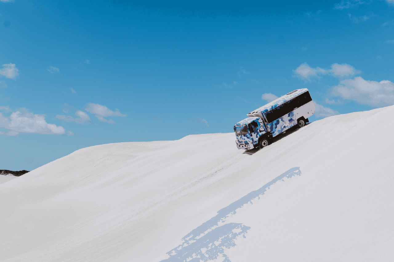 Pinnacles Desert Tour with 4WD Adventure from Perth – photo 6