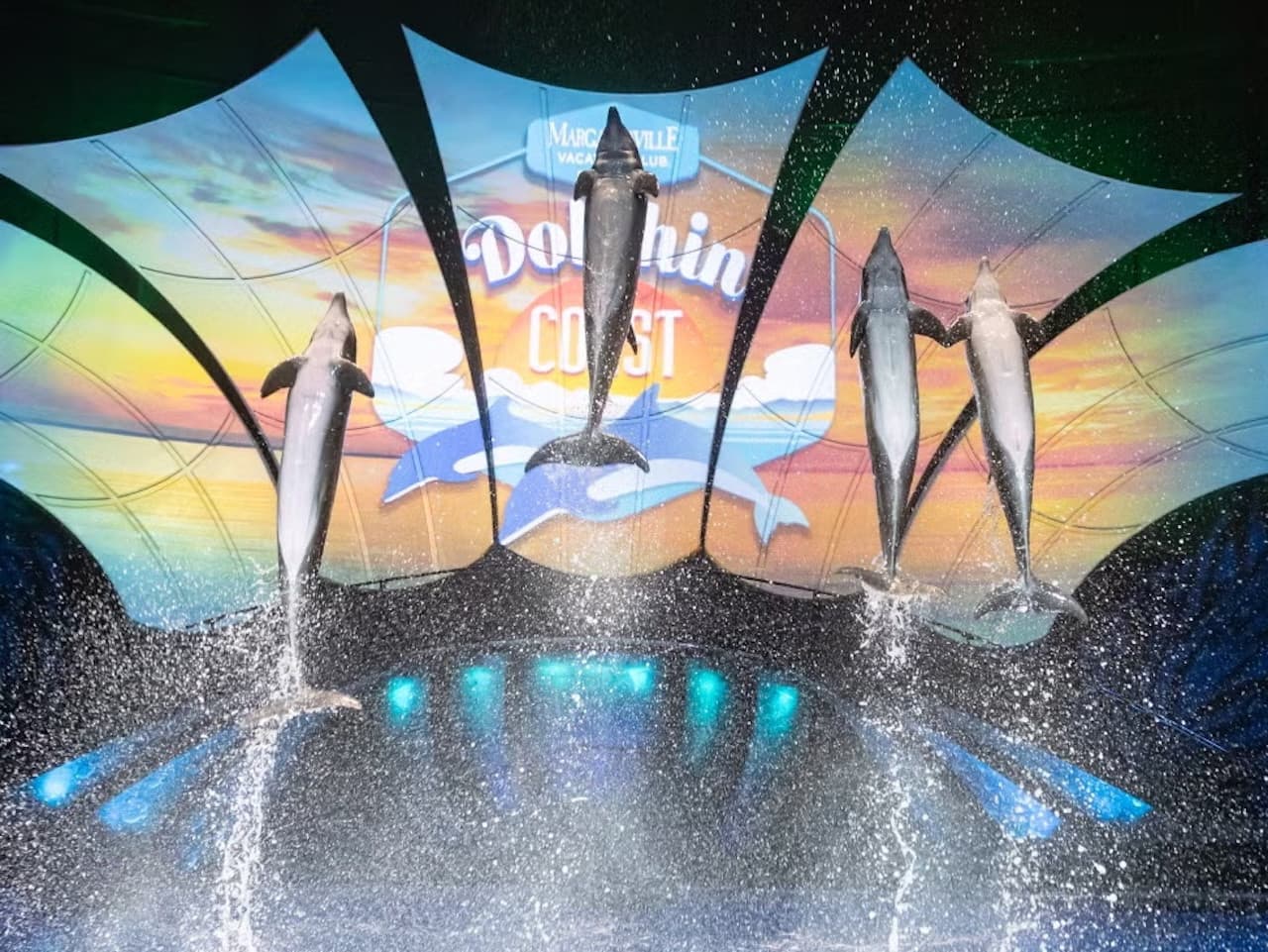 Georgia Aquarium: Fast Track Ticket – photo 5