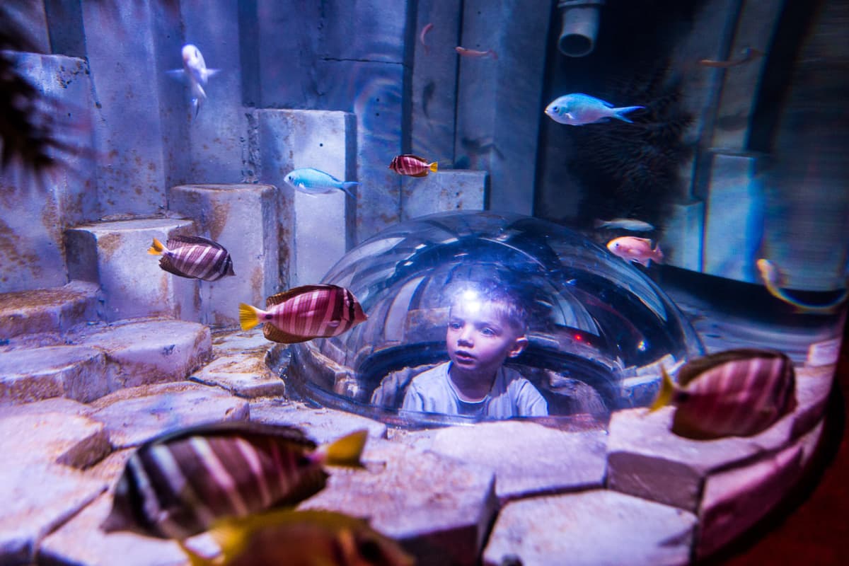 SEA LIFE Melbourne Aquarium Direct Entry Ticket