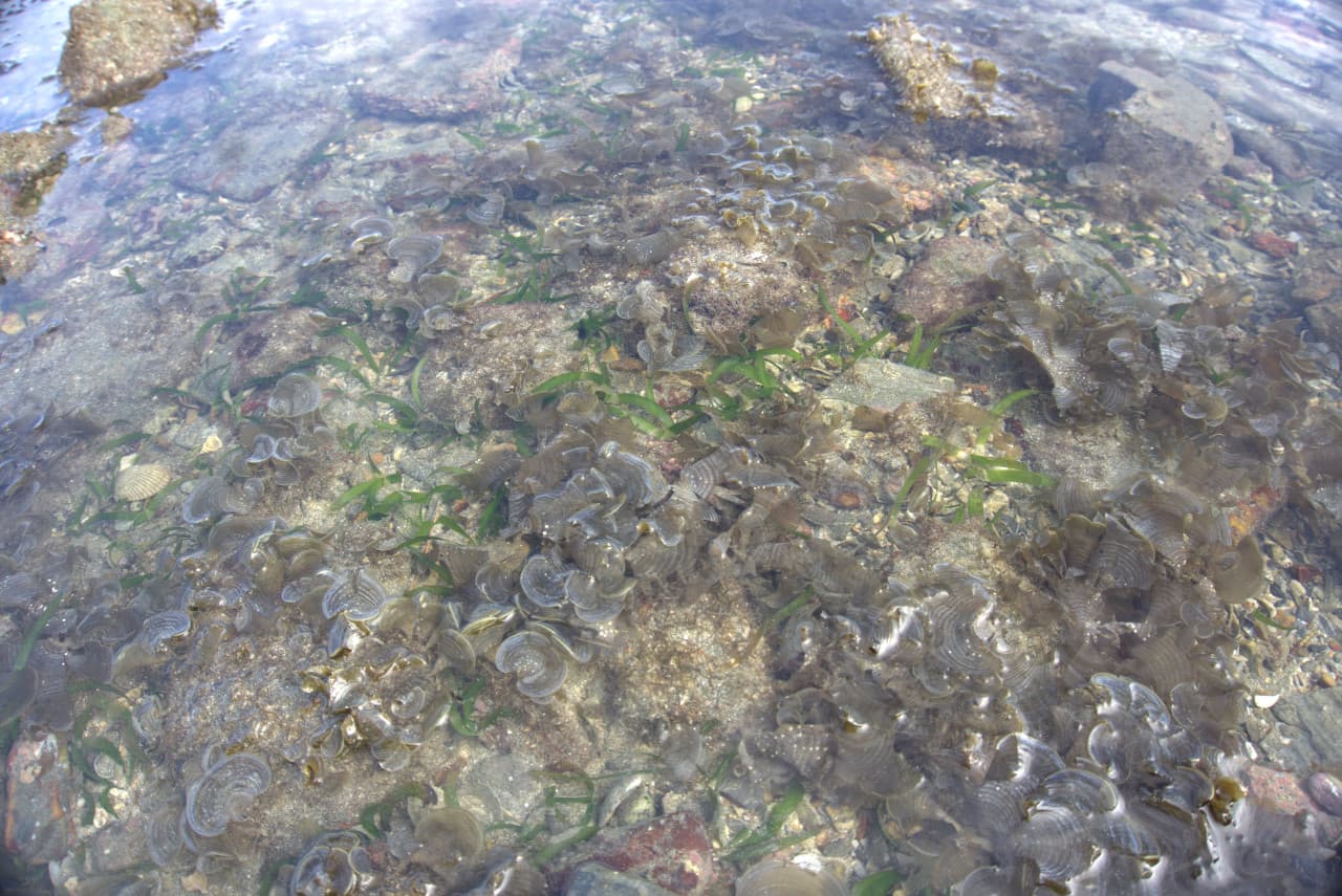 Desaru Beach and Tide Pool Walk – photo 31