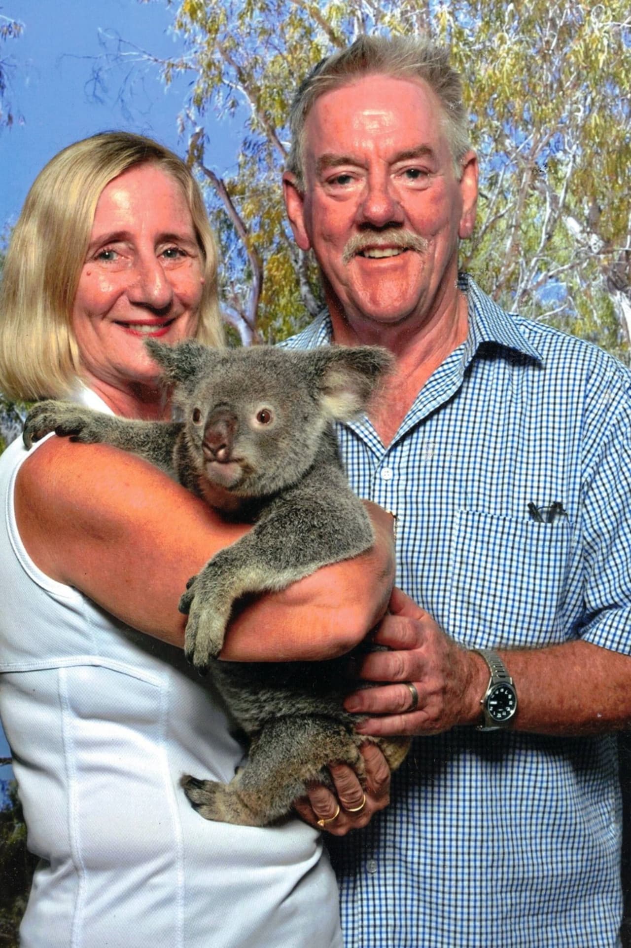 Kuranda Tour from Port Douglas – photo 6