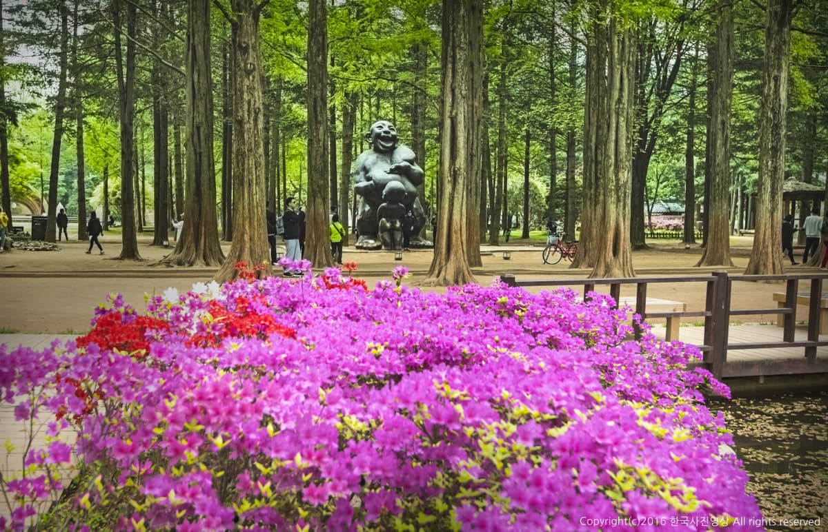 Nami Island, Petite France, and Italian Village Tour from Seoul