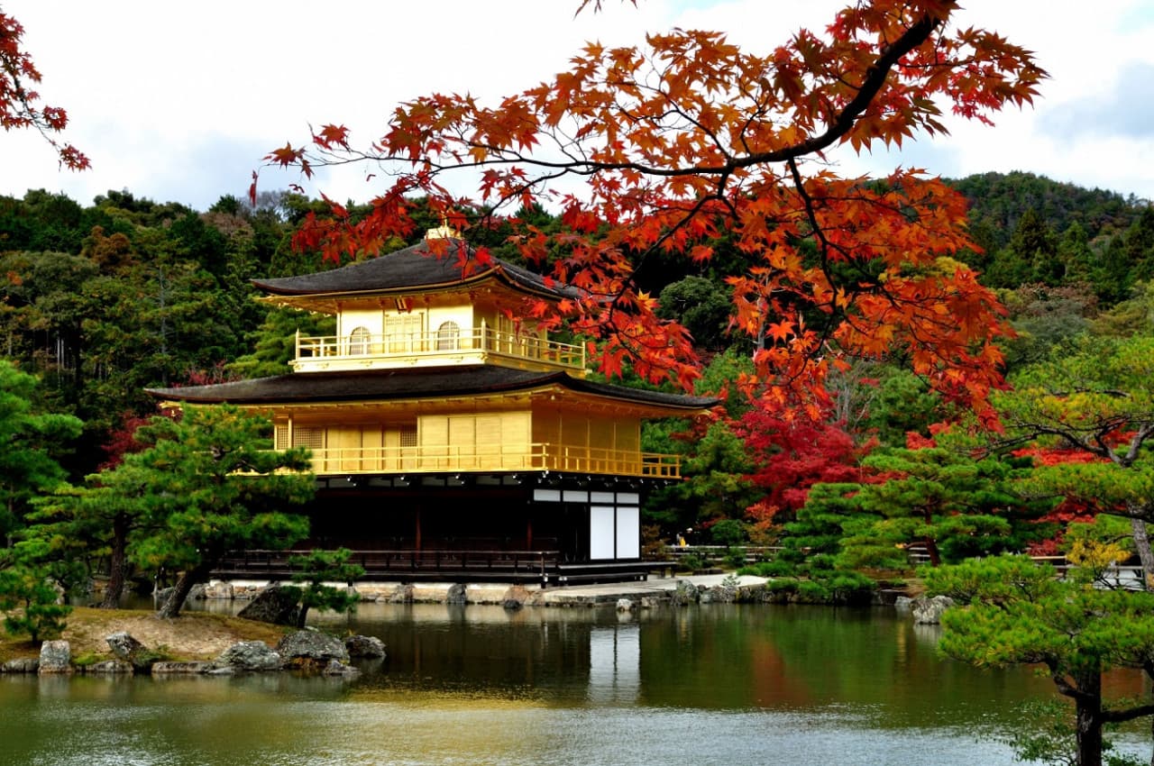 Kyoto and Nara Bus Tour – photo 6