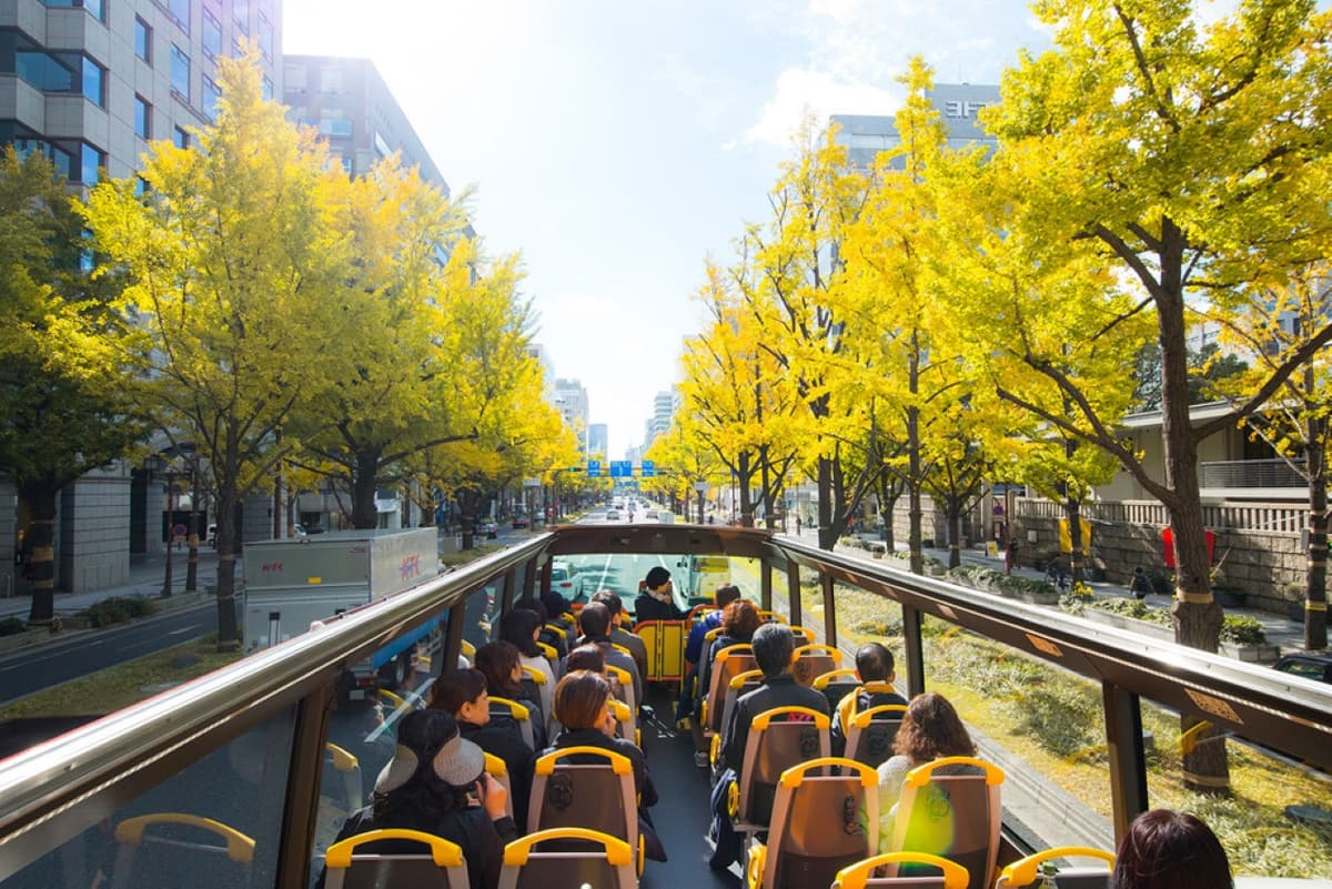 Osaka Sky Vista or Nani Wonder Sightseeing Bus Tour