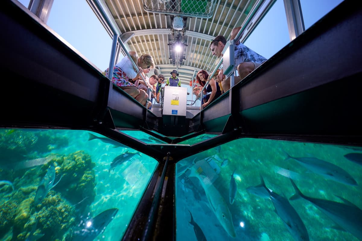 Green Island Great Barrier Reef Half Day Tour from Cairns