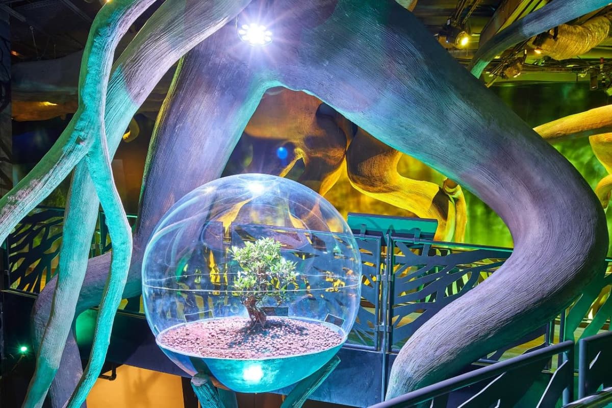 Expo City Dubai Ticket