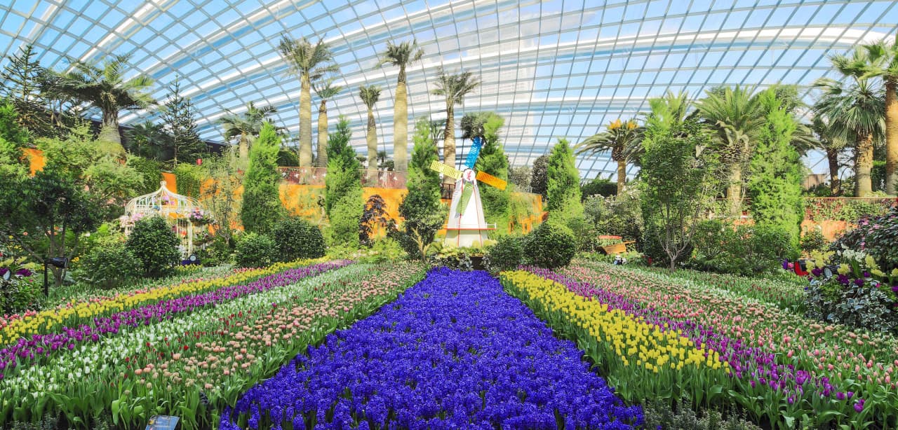 COMBO: Skyline Luge Singapore + Gardens by the Bay Ticket – photo 12