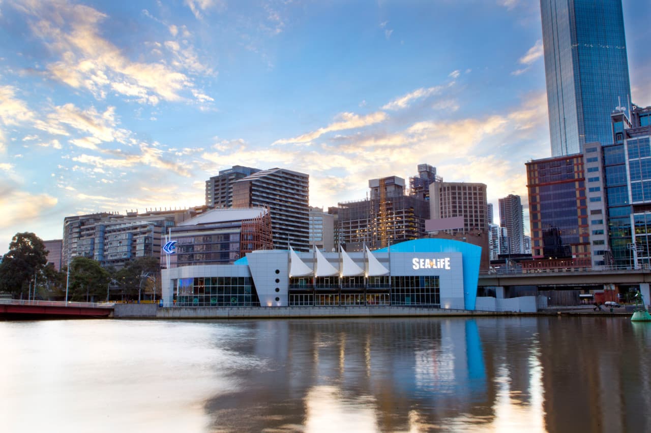 SEA LIFE Melbourne Aquarium Direct Entry Ticket – photo 19