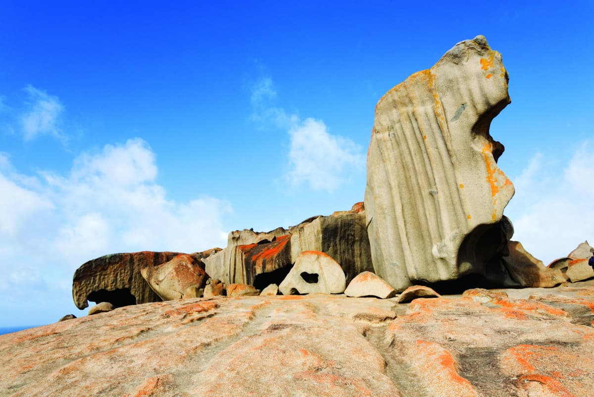 Kangaroo Island Tour from Adelaide