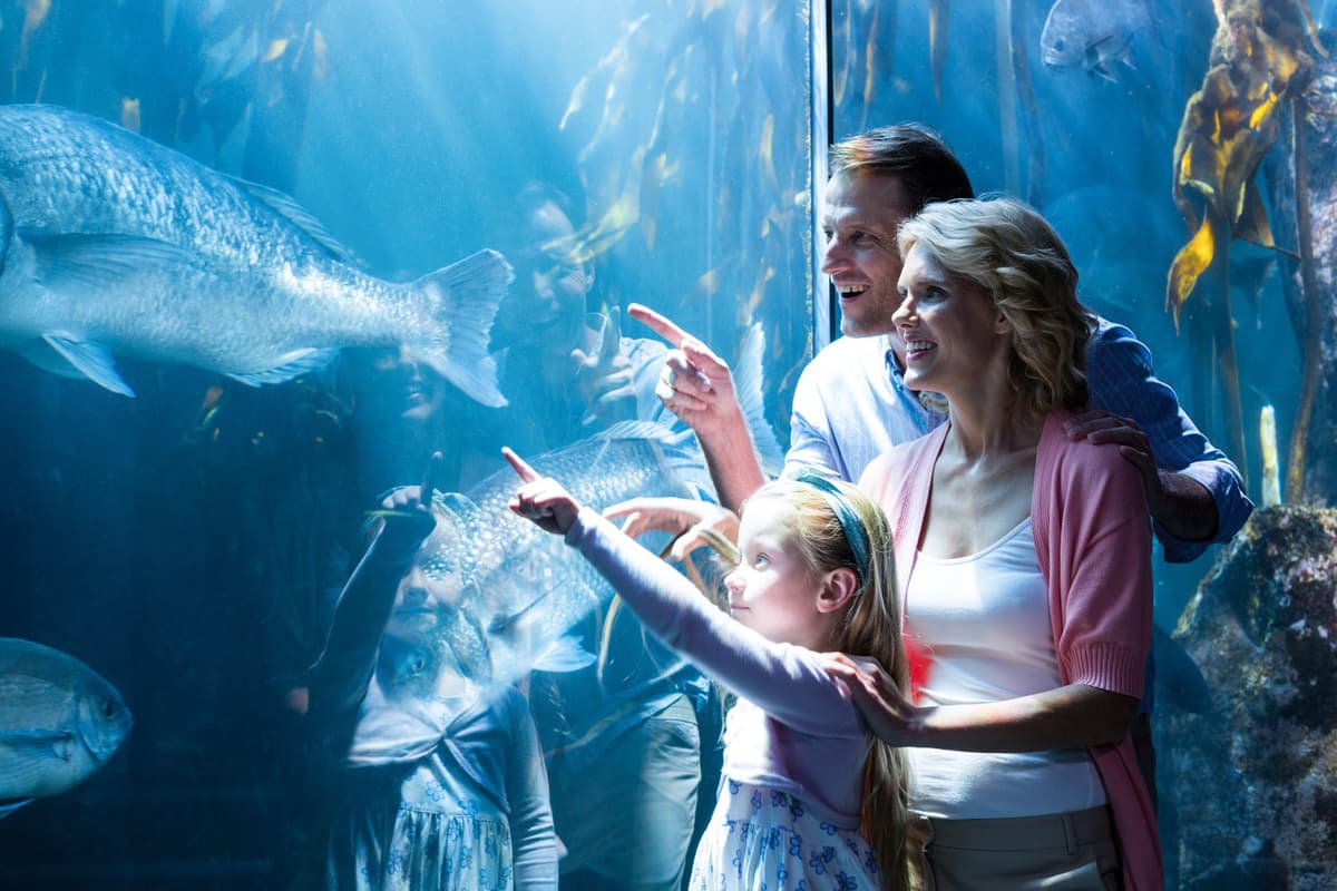 Go City Chicago All-Inclusive Pass: Save up to 50% on Attractions