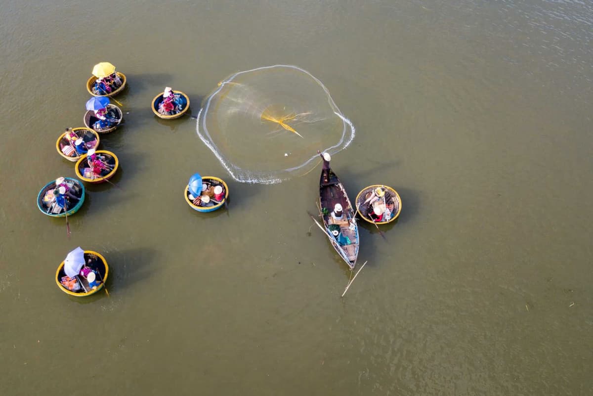 Hoi An Coconut Forest Basket Boat Ride