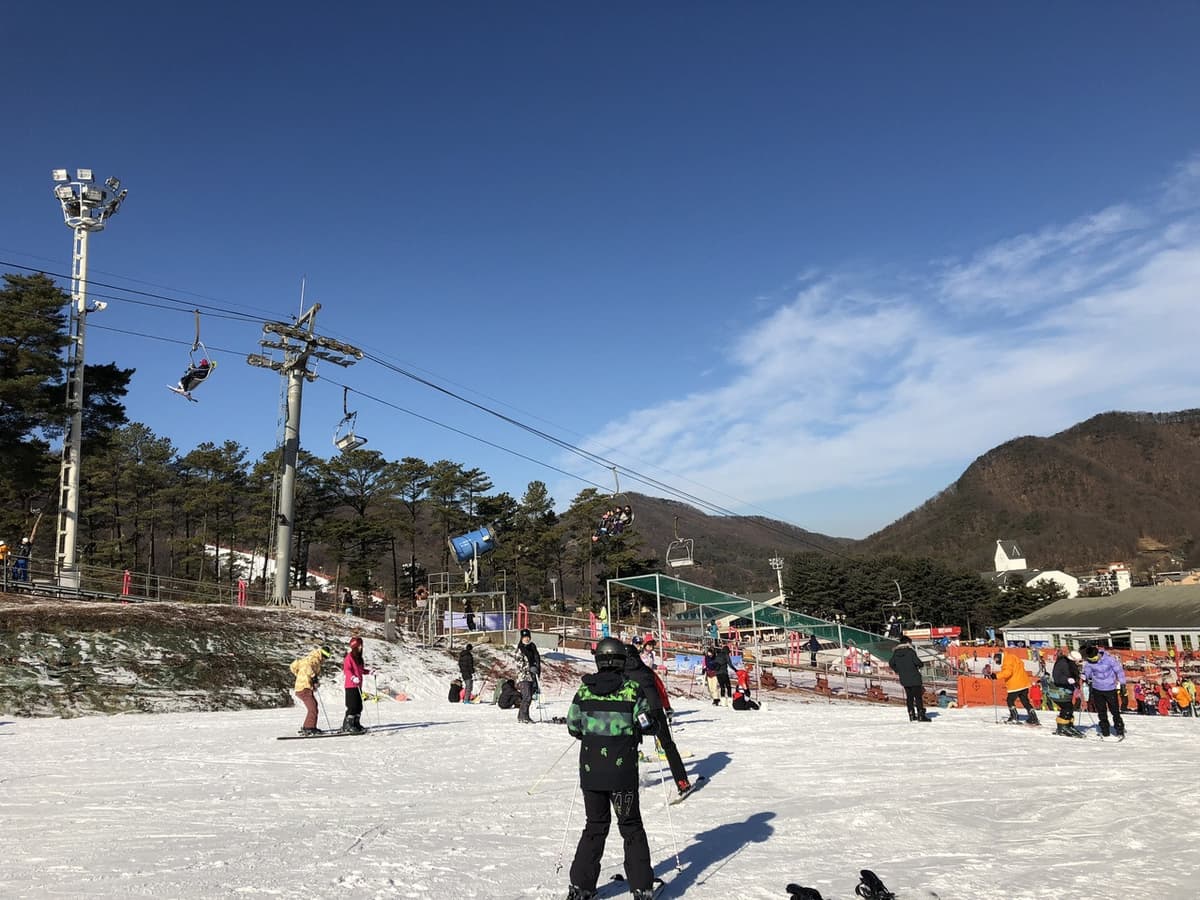Jisan Forest Ski Resort Full-Day Tour from Seoul