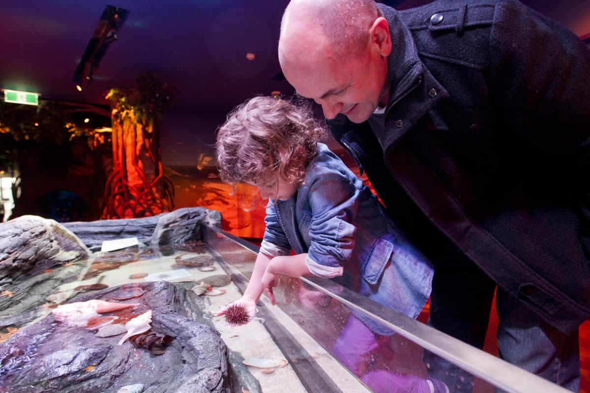 COMBO: Melbourne Skydeck + SEA LIFE Melbourne Aquarium Tickets