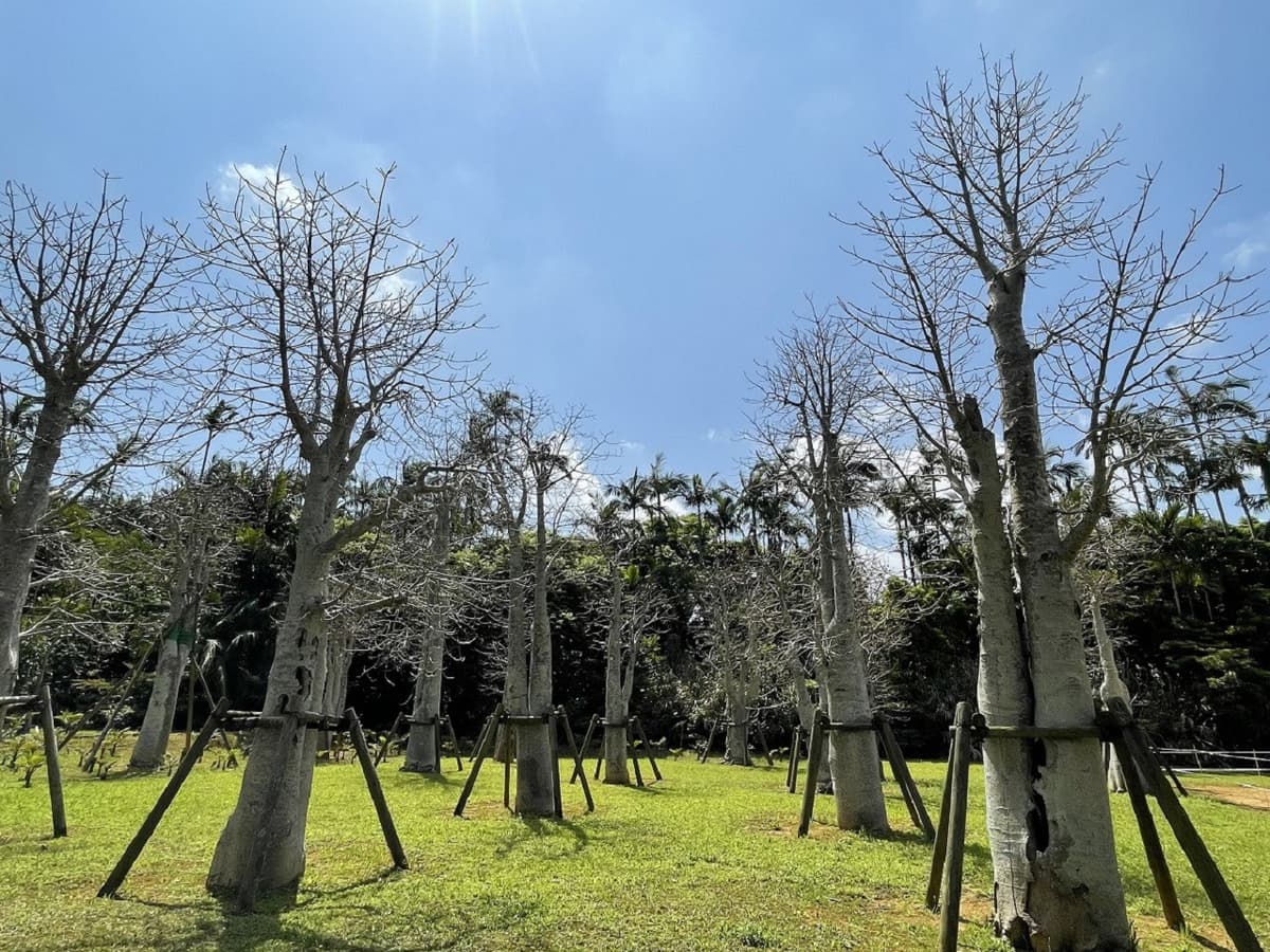 Okinawa Southeast Botanical Gardens