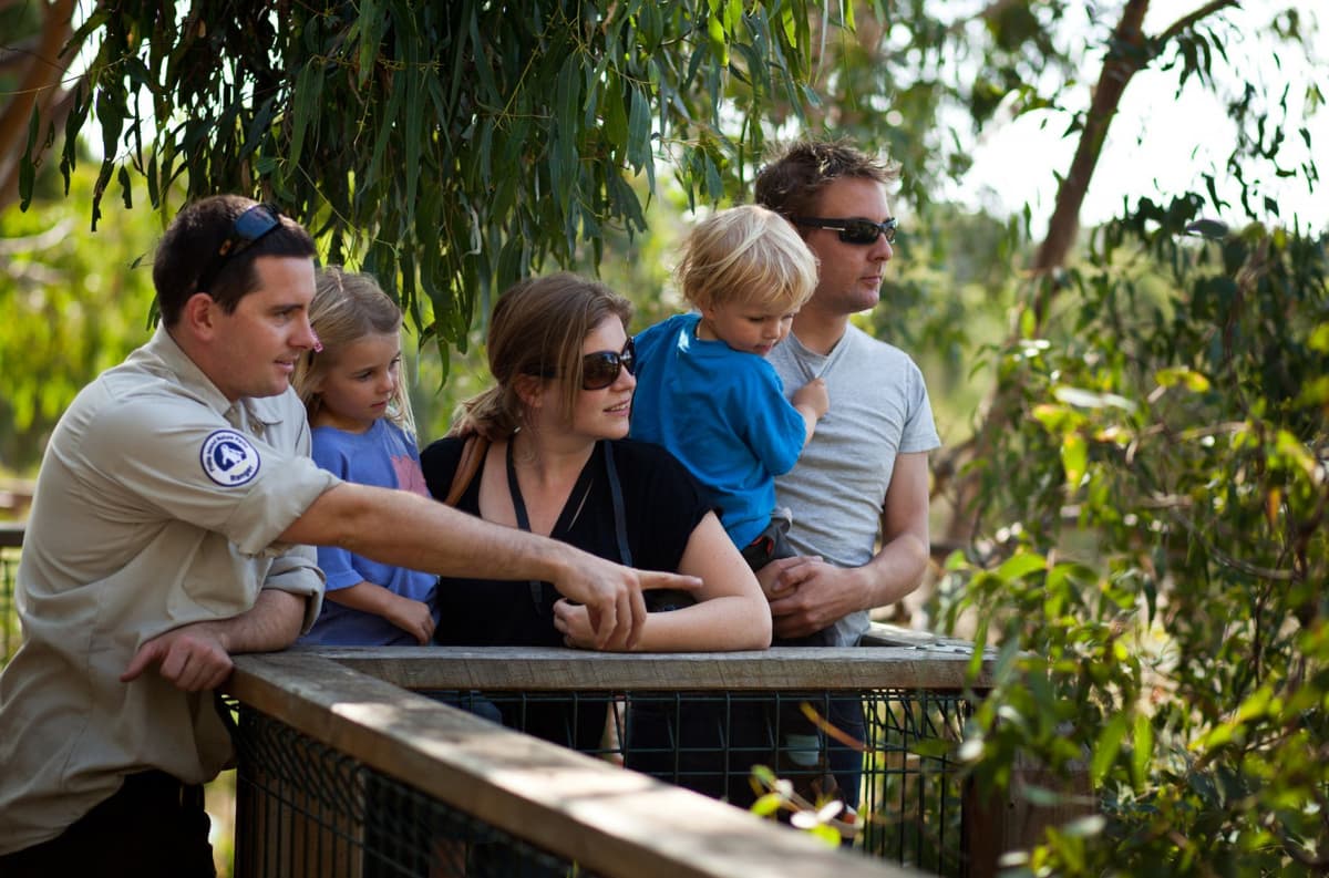 Phillip Island Nature Parks - Koala Conservation Reserve Ticket