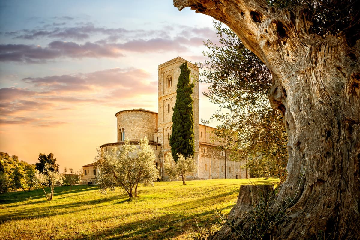 Medieval Tuscany Tour from Florence: Monteriggioni, Montalcino, Pienza