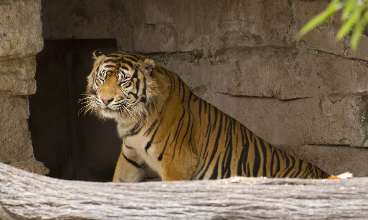 Barcelona Zoo