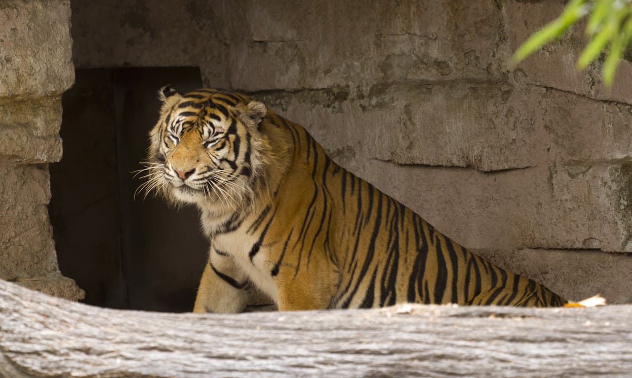 Barcelona Zoo – photo 4