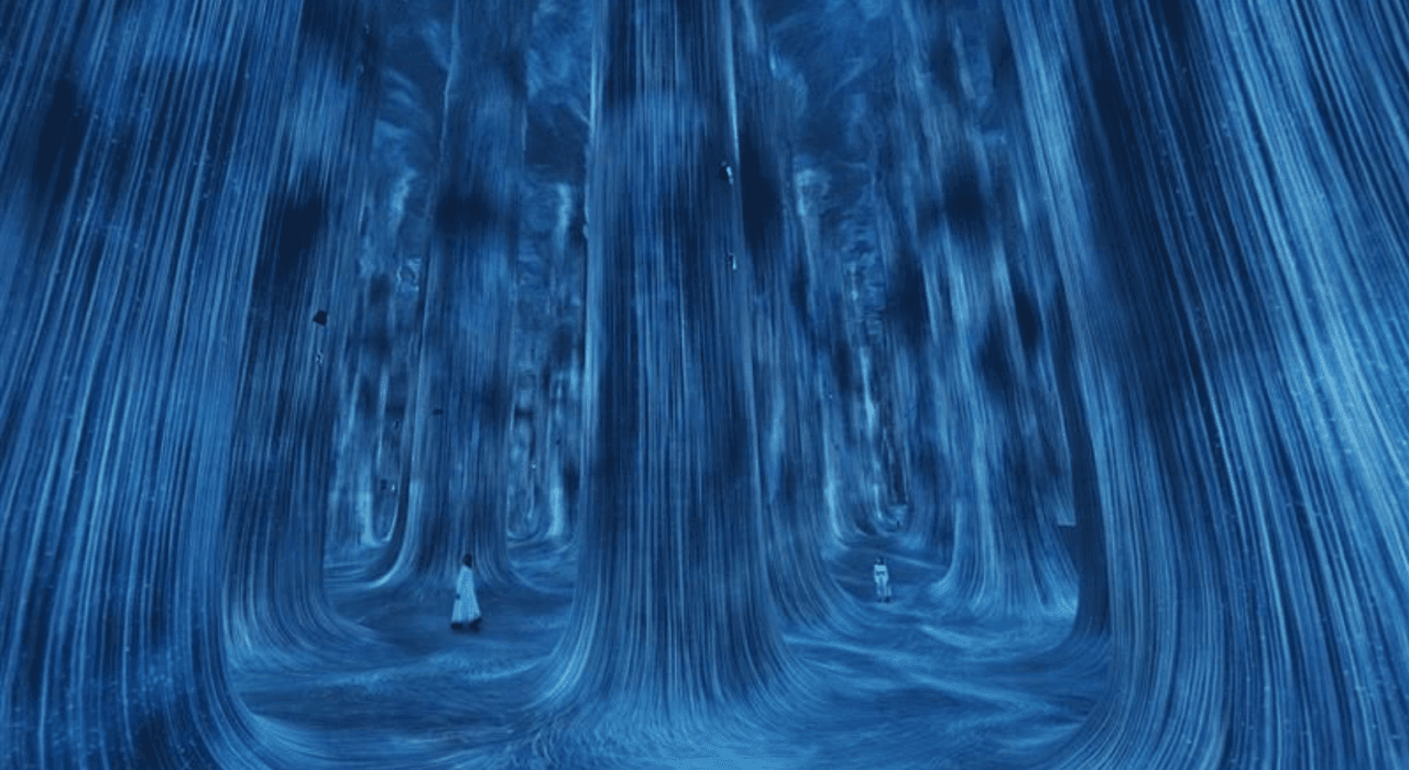 teamLab Phenomena Abu Dhabi Ticket – photo 13