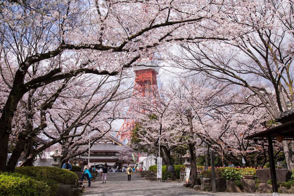 Tokyo Tower Observatory