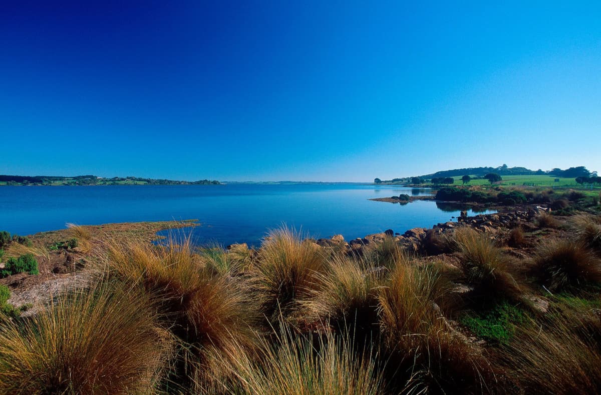 Churchill Island Ticket