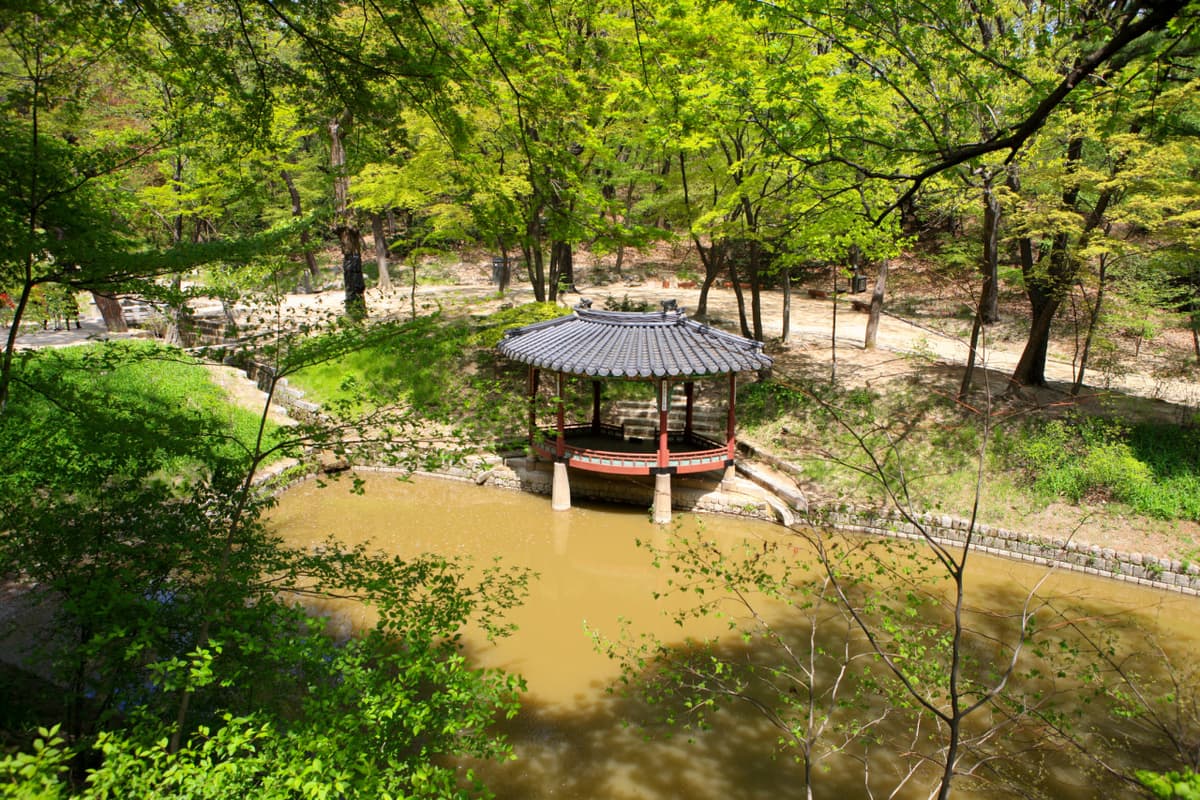 Seoul City Tour with Bulgogi Cooking Lesson