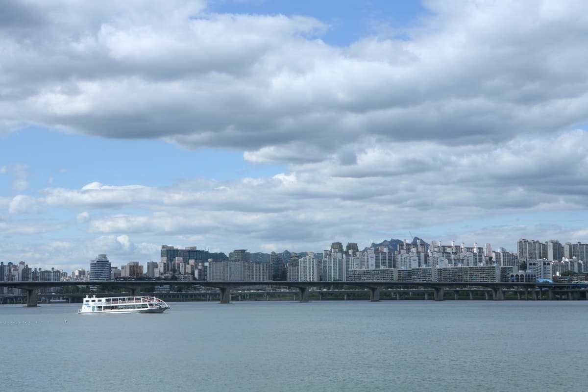 Han River Cruise and Mount Namsan Tour