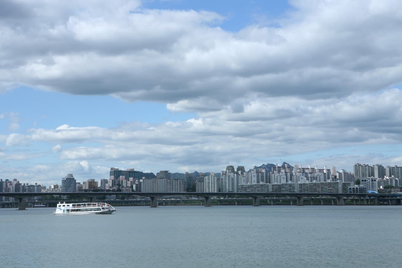Han River Cruise and Mount Namsan Tour