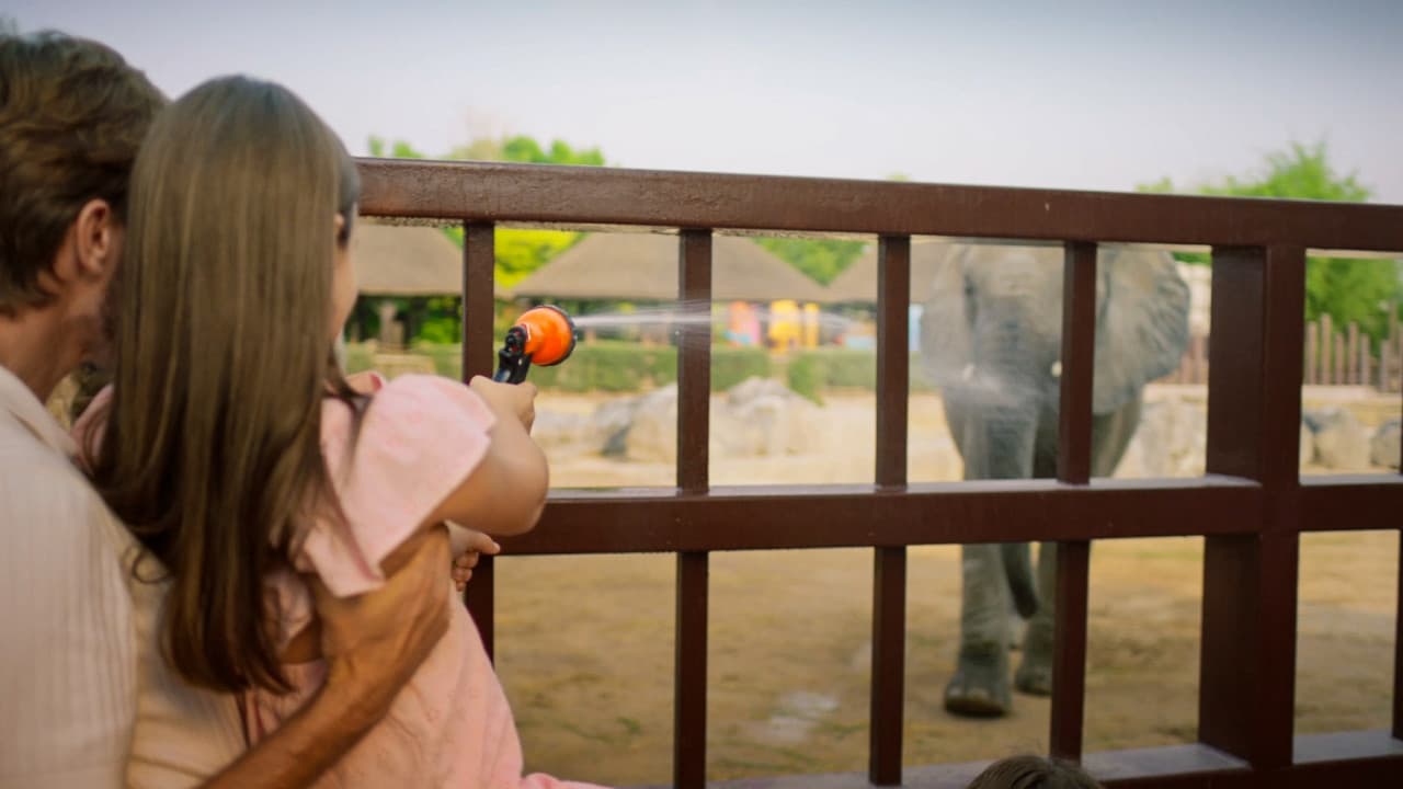 Dubai Safari Park Ticket – photo 19