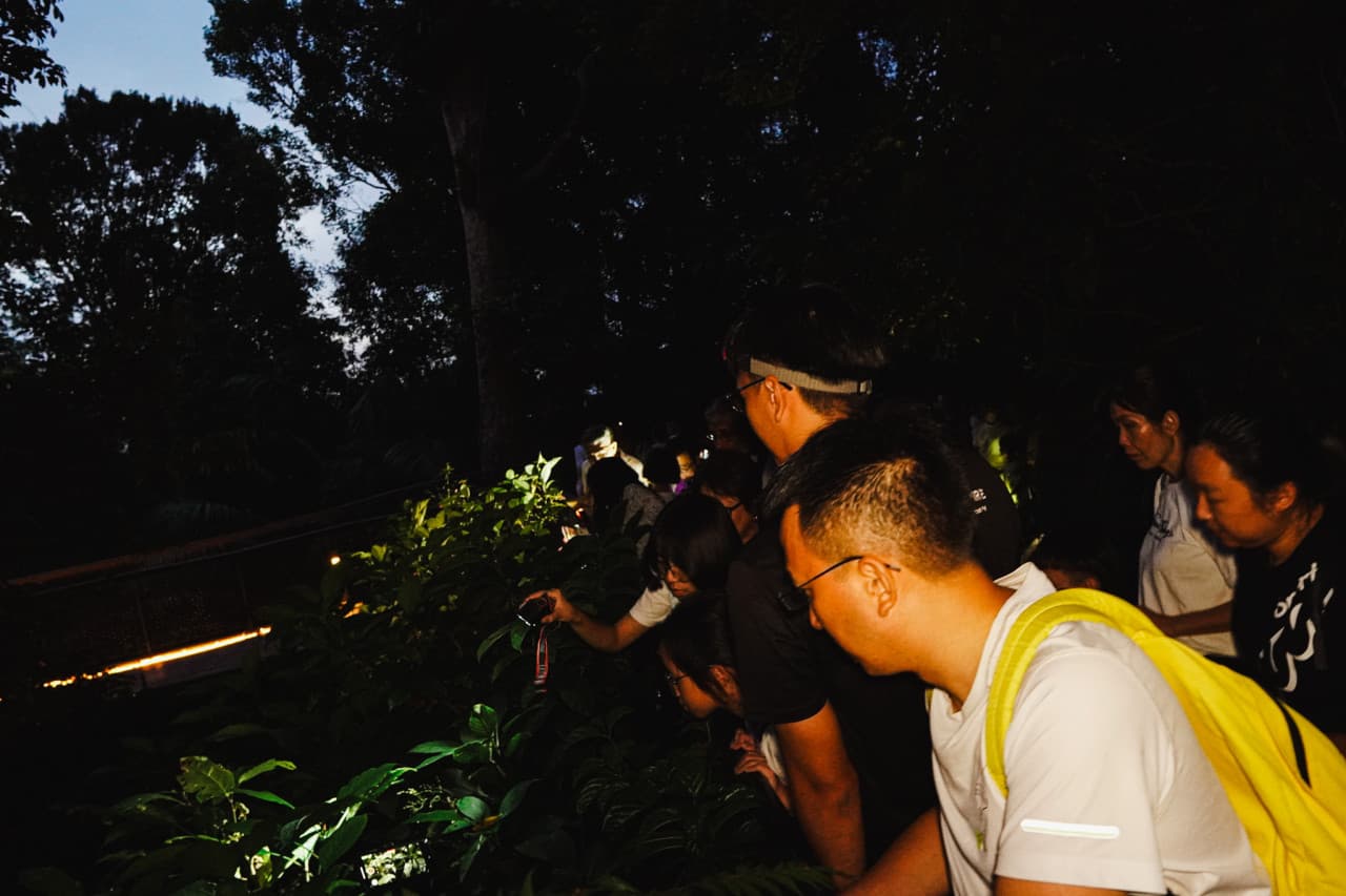 The Habitat Penang Hill Ticket – photo 26