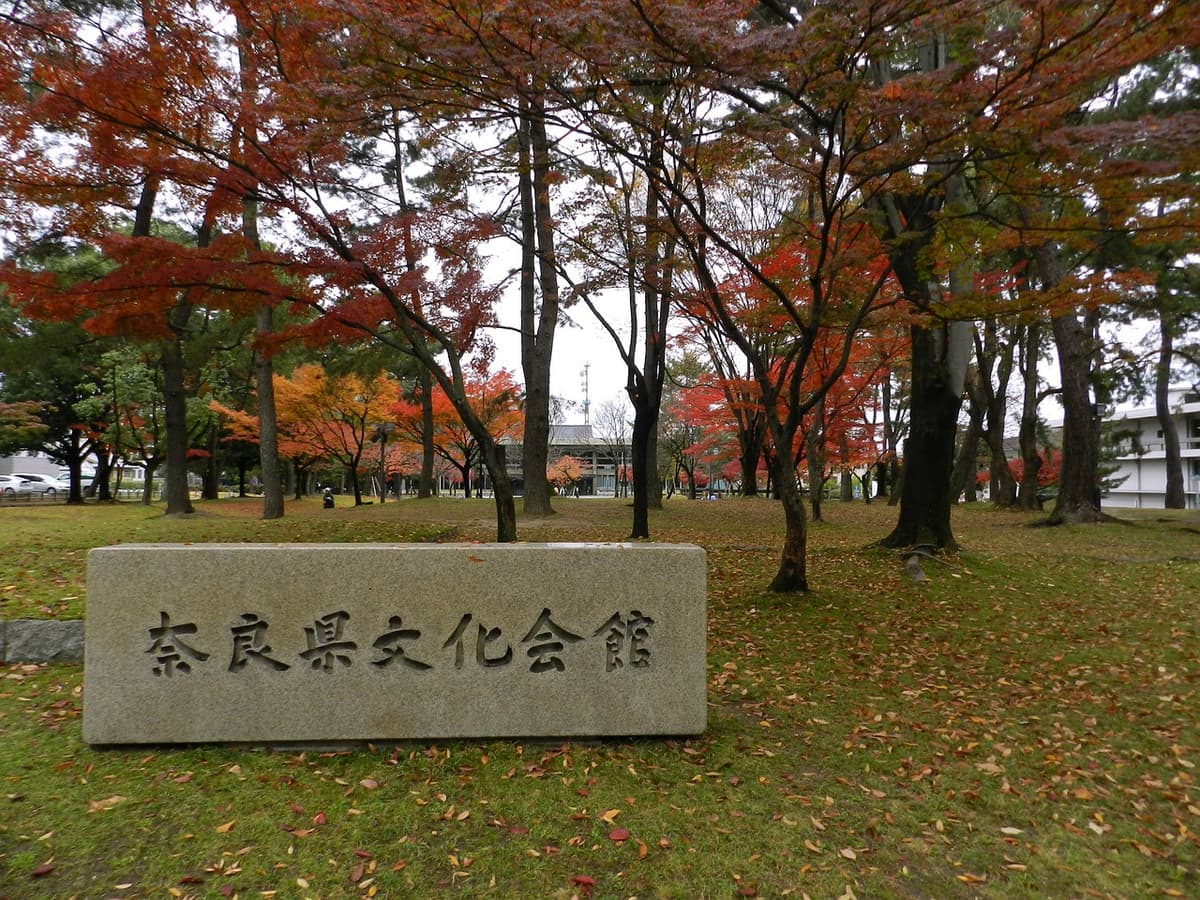 Nara Tour from Kyoto
