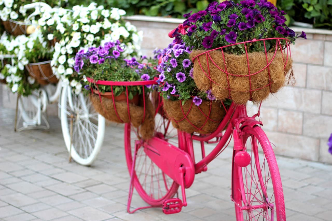 Dubai Miracle Garden Ticket – photo 12